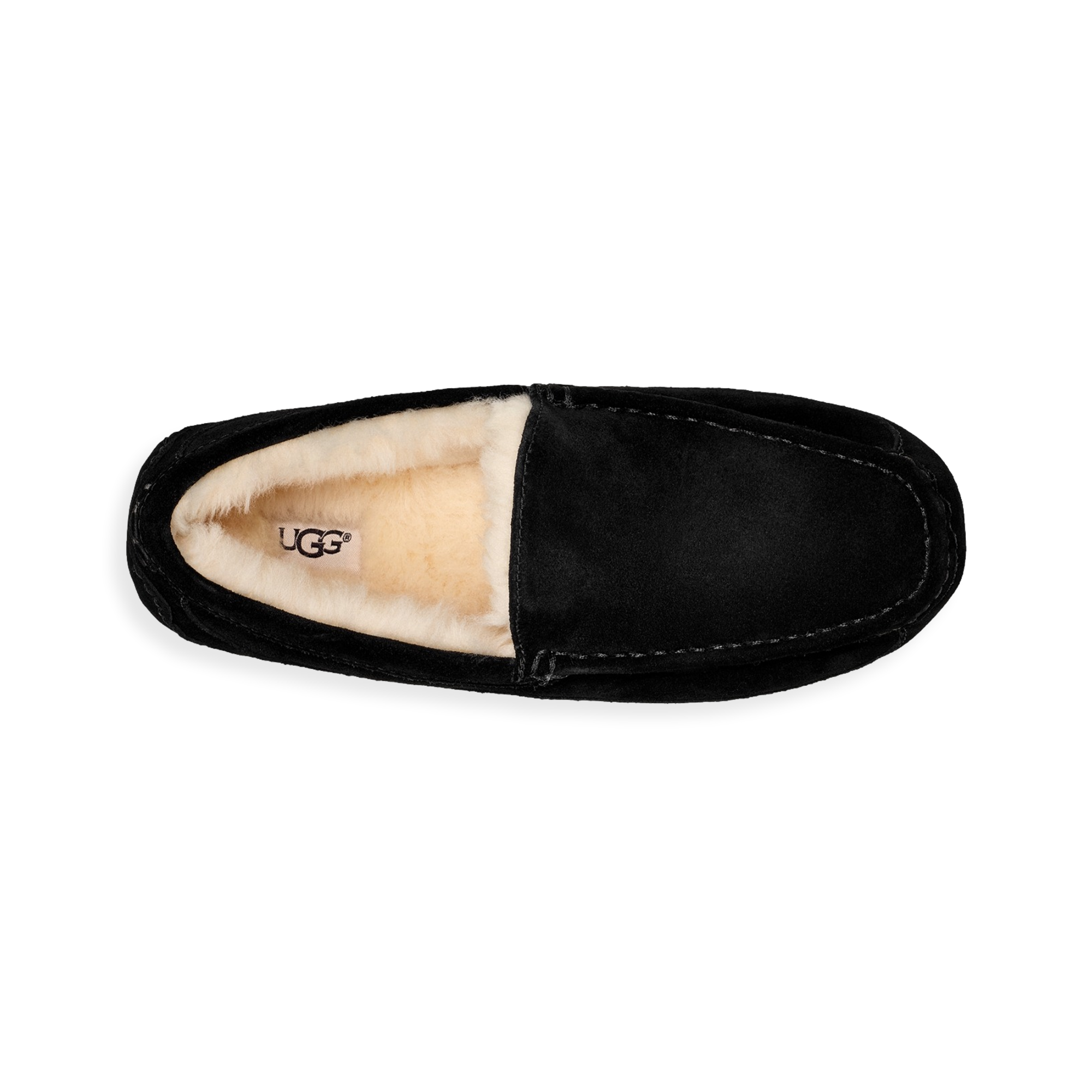 Ascot Slipper